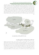 دانلود مقاله تنوع معماری مسکونی در روستاهای تاریخی یزد صفحه 5 
