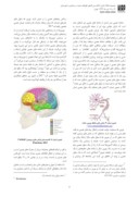 دانلود مقاله بکارگیری نوروساینس ( علوم مغز و اعصاب ) در تحلیل کیفی بازارهای سنتی ایرانی صفحه 4 