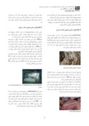 دانلود مقاله ایجاد مرکز هالوتراپی ( نمک درمانی ) در حاشیه دریاچه ارومیه با رویکرد توریسم درمانی پایدار صفحه 3 