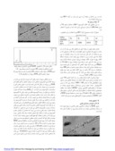 دانلود مقاله بررسی علل وجود عیب خالی کردگی در سطح ورق و فویل آلومینیوم سری 8011 صفحه 2 