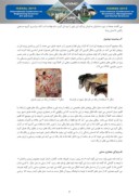 دانلود مقاله کاربرد رنگ در معماری سنتی اقلیم گرم و خشک ( مطالعه موردی خانههای شهر یزد ) صفحه 4 