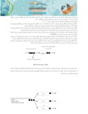 دانلود مقاله تحلیل سیستم صف در داروخانه بیمارستان میلاد صفحه 3 