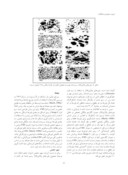 دانلود مقاله مطالعه شرایط فیزیکی و تحوالت تبلور ماگما در سنگ های ولکانیکی شرق قزوین صفحه 5 