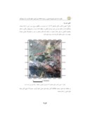 دانلود مقاله مقایسه داده های ژئوفیزیک هوایی و سنجنده Aster برای تعیین مناطق دگرسان شده چهارگنبد استان کرمان صفحه 4 