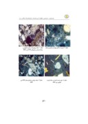 دانلود مقاله پترولوژی و ژئوشیمی سنگهای آذرین پتاسپکو و اولتراپتاسیک شمالغرب مرند صفحه 4 