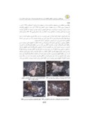دانلود مقاله پتروگرافی و پترولوژی سنگهای ولکانیک اسید و توده های نفوذی هرزندات دیوان داغی ( شمال مرند ) و اهمیت ژئودینامیکی آنها صفحه 2 