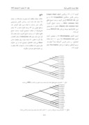 دانلود مقاله مطالعه کلادیستی خانواده Muridae ( Mammalia : Rodentia ) در شرق ایران صفحه 3 
