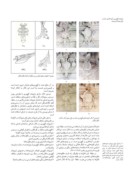 دانلود مقاله تزیینات گچبری و آیینه کاری عمارت باغ رحیم آباد بیرجند صفحه 5 