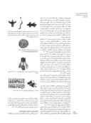 دانلود مقاله آرایه ها و نگاره های مرتبط با چشم زخم در دستبافته های اقوام ایرانی صفحه 5 