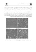 دانلود مقاله ایجاد پوشش نانوکامپوزیتی Ni - P - ZrO2 به روش الکترولس و بررسی خواص تریبولوژیکی آن صفحه 4 