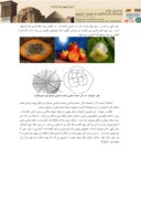 دانلود مقاله هندسه ها و تناسبات زرین در طبیعت و معماری ( ( هندسه مقدس ) ) صفحه 3 