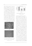 دانلود مقاله تأثیر محیطهای نیتروژن و خلاء و افزودن قلع بر فرایند چگالش پودر پیش آلیاژ Al - Cu - Mg حین تفجوشی فراجامد صفحه 5 