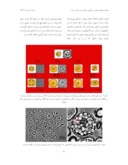 دانلود مقاله مطالعه روند رویان زایی میکروسپورهای کلزا رقم پی اف ( PF704 ) در شرایط درون شیشه ای با استفاده از میکروسکوپ الکترونی صفحه 5 