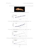 دانلود مقاله تعیین سن ماهی سرخوی چمن ( Lutjanus malabaricus ) با استفاده از اتولیت ( سنگ گوش ) درآبهای هرمزگان صفحه 5 