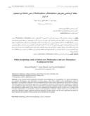 دانلود مقاله مطالعه گردهشناسی بخشهای Hemisphace و Plethiosphace از جنس Salvia ( تیرة نعناعیان ) در ایران صفحه 1 