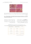 دانلود مقاله بررسی اثر سندروم کلستاز برتغییرات بافتی هستههای مجاور بطنی و فوق بصری هیپوتالاموس مغز موشهای صحرایی نر نژاد ویستار صفحه 5 