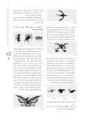 مقاله بررسی نقوش و اشکال پرنده در هنر ایران باستان صفحه 5 
