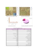 مقاله ارزشیابی محیطزیستی محل دفن پسماندهای شهری شهرستان مرند به روش آژانس کنترل آلودگی مینسوتا ( MPCA ) و مقایسه با معیارهای مکانیابی سازمان حفاظت محیطزیست ایران ( USEPA )  صفحه 4 