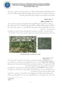 مقاله برآورد تبخیر و تعرق شهری از طریق شاخصهای پوشش گیاهی با استفاده از تصاویر سنجش از راه دور ماهواره WorldView2 صفحه 3 