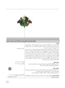 مقاله تطبیق تصویرآرایی نقاشی یوسف و زلیخا با شعری از بوستان سعدی صفحه 1 