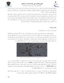 مقاله استخراج و خالص سازی جزئی سم نماتوسیت عروس دریایی Crambionella صفحه 2 