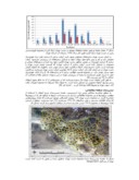 مقاله بررسی ارتباط بین وضعیت آب زیرزمینی و فرونشست دشت تهران صفحه 4 