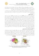 مقاله مغز و اعصاب و معماری : بررسی تأثیر نماها بر سیستم عصبی انسان صفحه 2 