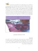 مقاله عوامل به وجود آمدن ریزگردها در شهر اهواز و ارائه راهکارهایی برای مقابله با این پیامد صفحه 2 