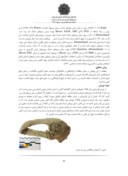 مقاله بررسی و درمان یک نمونه کفش چرمی منحصر بفرد منسوب به دورهی سلجوقی ، مکشوفه از محوطه ی تاریخی "قلعه کوه" قاین صفحه 3 