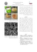 مقاله تولید نانوالیاف ژلاتین/آلوئهورا و بررسی خصوصیات نانوالیاف حاصله صفحه 3 