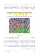 مقاله بررسی قابلیت تصاویر UltraCam - D در تشخیص گونه های درختی به روش شیء - پایه در جنگل کاری همسال آمیخته صفحه 5 