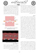 مقاله طراحی ازمایشگاهی جهت تشخیص نمونه های زیستی با اسفاده از سنسورهای با ساختارهای فوتونیک کریستال صفحه 2 