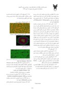 مقاله اتومات سلولی کوانتومی و کاربرد های آن صفحه 5 