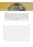 مقاله تبیین جایگاه امنیت اجتماعی از منظر اسلام و قانون اساسی صفحه 2 