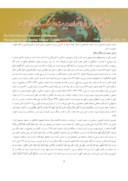 مقاله تبیین جایگاه امنیت اجتماعی از منظر اسلام و قانون اساسی صفحه 4 