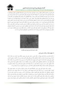 مقاله توجه به مفهوم هویت در پایداری کالبدی بافت تاریخی شهر کرمان بوسیله تکایا ( نمونه موردی : تکیه خواجه خضر ) صفحه 4 