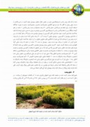 مقاله تولید بیودیزل و محصولات جانبی از گیاه منداب ( Eruca sativa Mill ) صفحه 3 