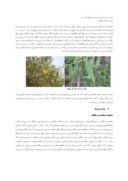 مقاله شبیه سازی تغییرات سرعت باد با استفاده از ویژگیهای مورفولوژی درخت انارشیطان دراستان های بوشهر و هرمزگان صفحه 3 