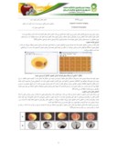 مقاله کاربرد ماشین بینایی در تشخیص عیوب ، جداسازی و درجه بندی سیب صفحه 4 