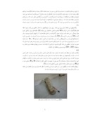 مقاله مطالعه بریل های موجود در پگماتیت های منطقه ابراهیم عطار واقع در قروه کردستان صفحه 2 
