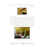 مقاله مطالعه بریل های موجود در پگماتیت های منطقه ابراهیم عطار واقع در قروه کردستان صفحه 3 