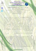 مقاله القای ریشه مویین در گیاه دارویی تشنهداری ( Scrophularia striata Boiss ) صفحه 1 