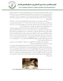 مقاله بررسی وضعیت زیستی دو گونه لاکپشت در خطر انقراض ایران ، لاک پشت فراتی ( Refetus euphraticus ) و لاکپشت منقار عقابی ( Eretmochelys imbricata ) صفحه 5 