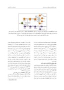 مقاله میکروRNA ها در بیماری مالتیپل اسکلروزیس صفحه 5 