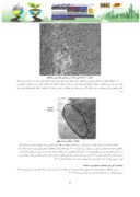 مقاله بررسی خواص مکانیکی و زیست محیطی بتن های متخلخل ( تراوا ) بعنوان روسازی بتنی صفحه 4 