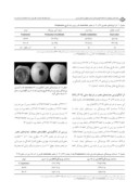 مقاله کنترل بیولوژیکی دوجدایه مخمراز Saccharomyces cerevisiae علیه بیماری کپک آبی سیب ( Penicillium expansum ) در جهت کاهش آلودگی زیست محیطی صفحه 5 