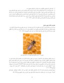 مقاله بررسی ساختار معماری خانه زنبور عسل ، بعنوان الگوی مناسب برای طراحی معماری آرمانشهر ایرانی صفحه 5 