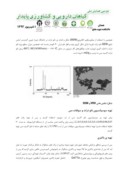 مقاله مقایسه اثر ضد باکتریایی نانو ذرات اکسید مس با سولفات مس بر روی باکتری زانتوموناس کمپستریس عامل شانکر مرکبات صفحه 4 