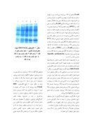 مقاله بهینه سازی فرایند تخمیر و تخلیص آنزیم - ۲A پروتئینازنوترکیب صفحه 4 