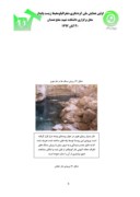 مقاله امکان سنجی ظرفیت های گردشگری روستایی ( مورد مطالعه : روستای بیشه دراز ، استان ایلام ) صفحه 5 